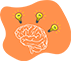 Cursos de Leiles